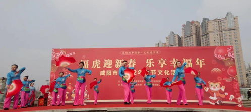 欢度春节 喜迎新年丨虎年春节文化活动乐不停